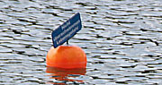 Absperrungsbojen trennen Schwimmer von Ruderern (©Foto Martin Schmitz)